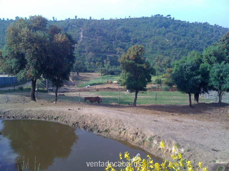 Fantastica Finca equina de 40 hectareas  - Finca ecuestre