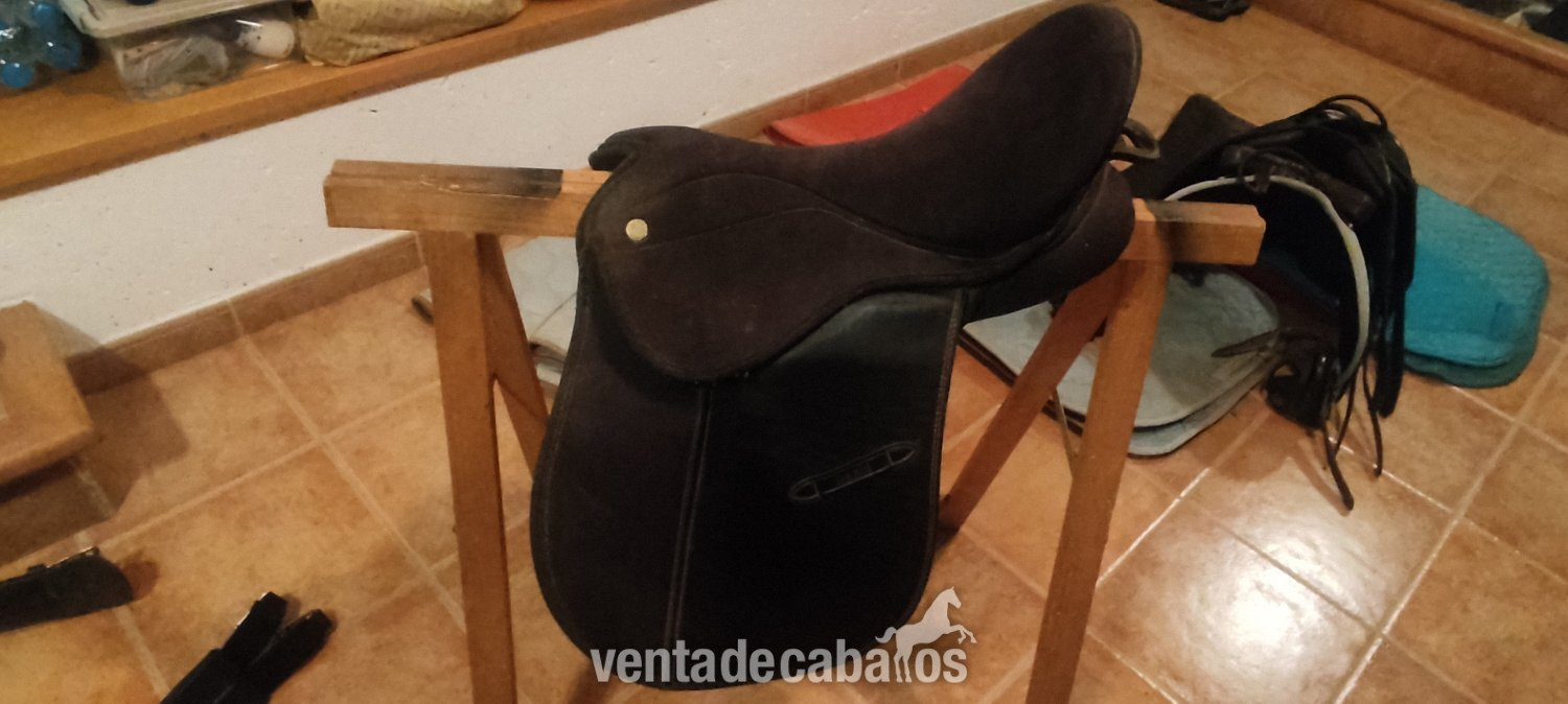 Silla doma Daslo  in 