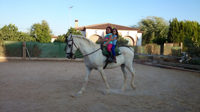 Hispano-Arabe