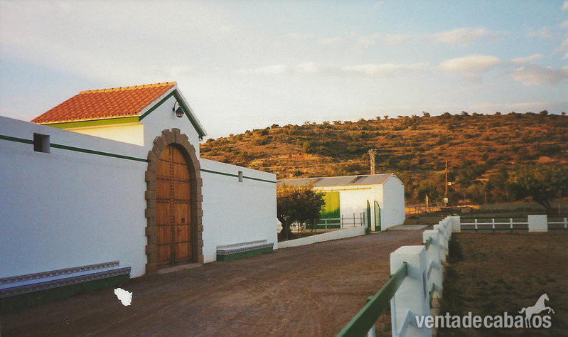 Vendo finca ecuestre en Castellón in Vall de Uxo
