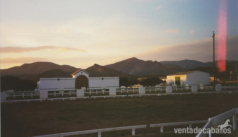 Vendo finca ecuestre en Castellón