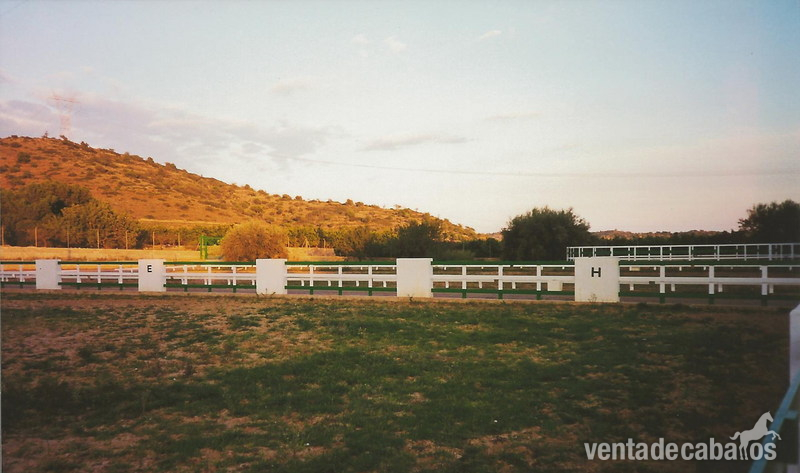 Vall de Uxo Vendo finca ecuestre en Castellón