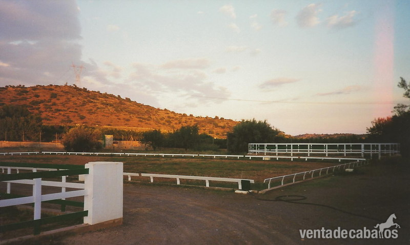 Vendo finca ecuestre en Castellón - Finca ecuestre in Vall de Uxo