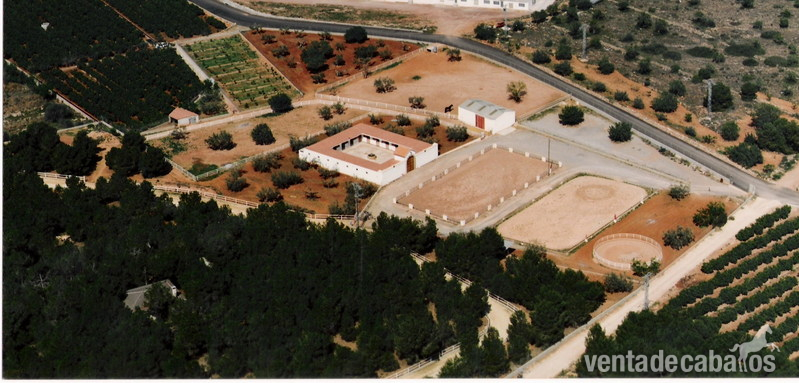 Vendo finca ecuestre en Castellón - Finca ecuestre