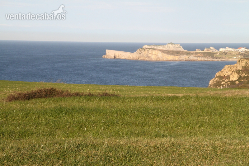 TAGLE SUANCES FINCA PARA CABALLOS A ORILLA DEL MAR