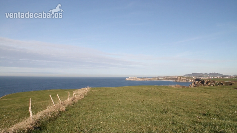 FINCA PARA CABALLOS A ORILLA DEL MAR - Finca ecuestre in TAGLE SUANCES