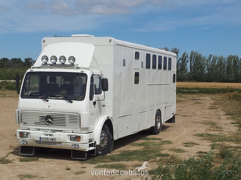 CAMIÓN PARA 7 CABALLOS in 