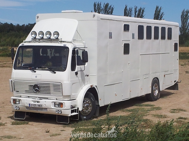 CAMIÓN PARA 7 CABALLOS