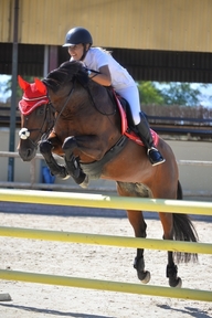 Yegua de salto PRE
