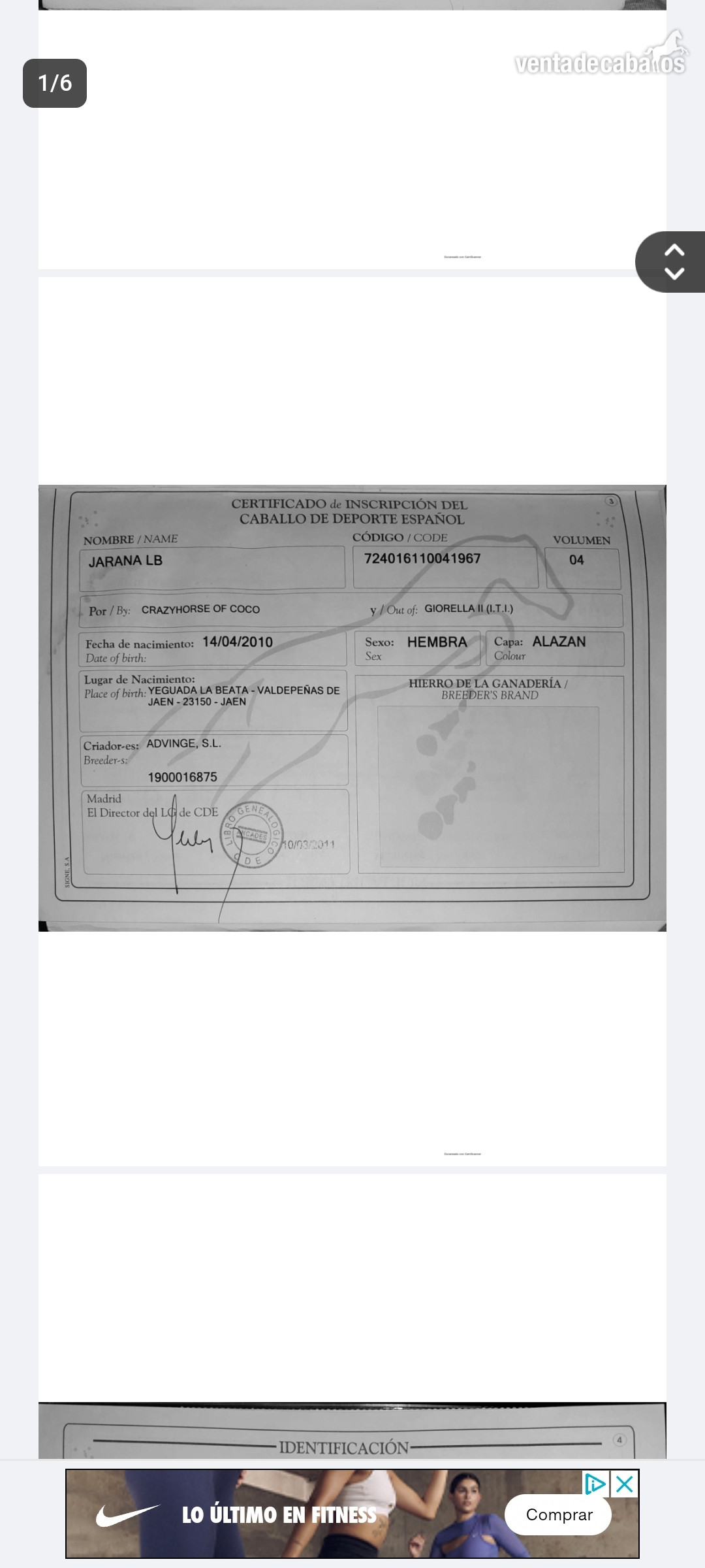 Venta CDE para cría in 