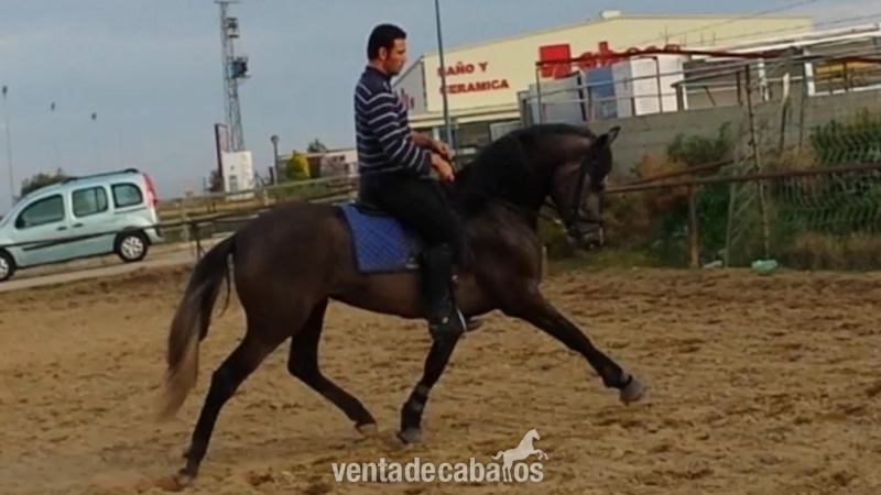ventura Gonzalo Valenzuela in 