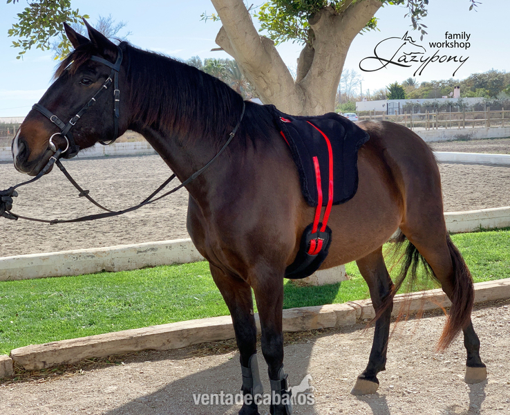  Silla Sudadero Bareback Hacking Lazypony\ Bareback Pad Hacking LP