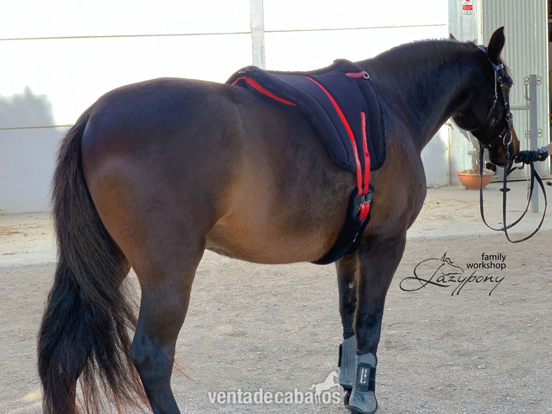Silla Sudadero Bareback Hacking Lazypony\ Bareback Pad Hacking LP - Sillas de montar
