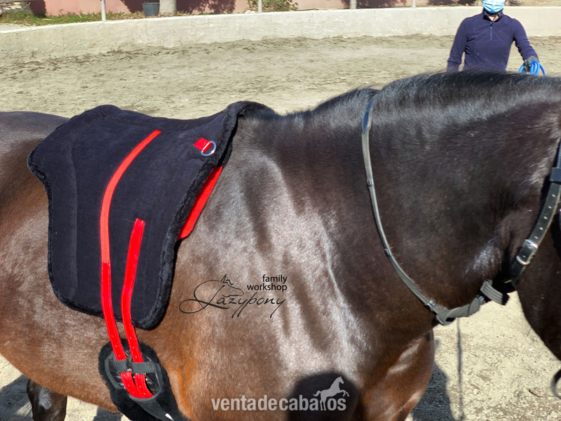Silla Sudadero Bareback Hacking Lazypony\ Bareback Pad Hacking LP 