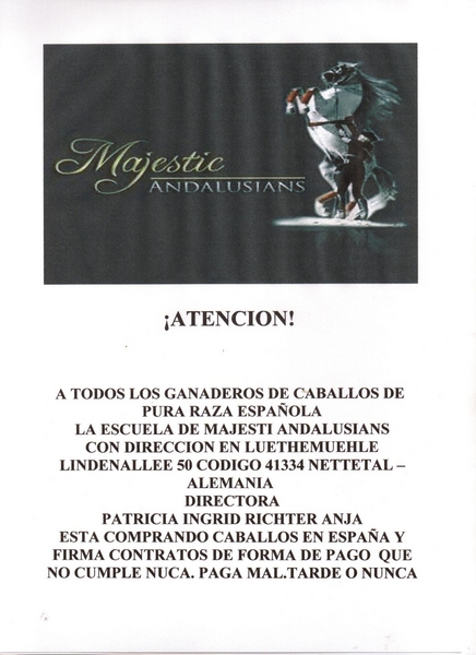 Venta De Yeguas De Pura Raza Española Capa Negra - Caballos Pura Raza Española (P.R.E.)