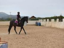 Super caballo de Salto!