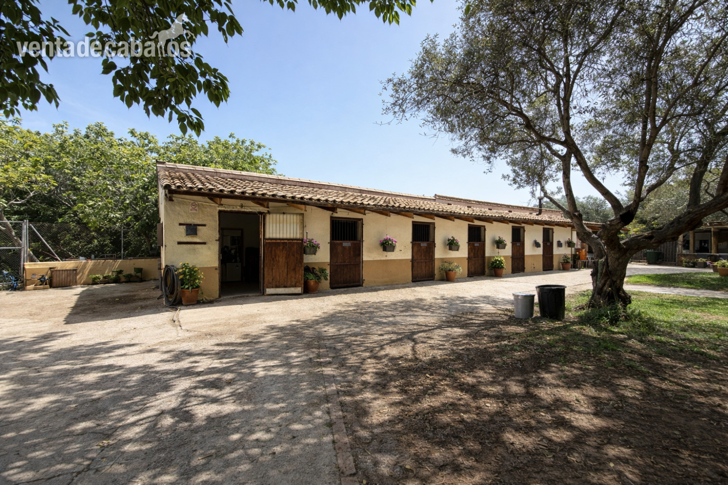 Finca ecuestre en LA MARINA ( Alicante) in ALICANTE