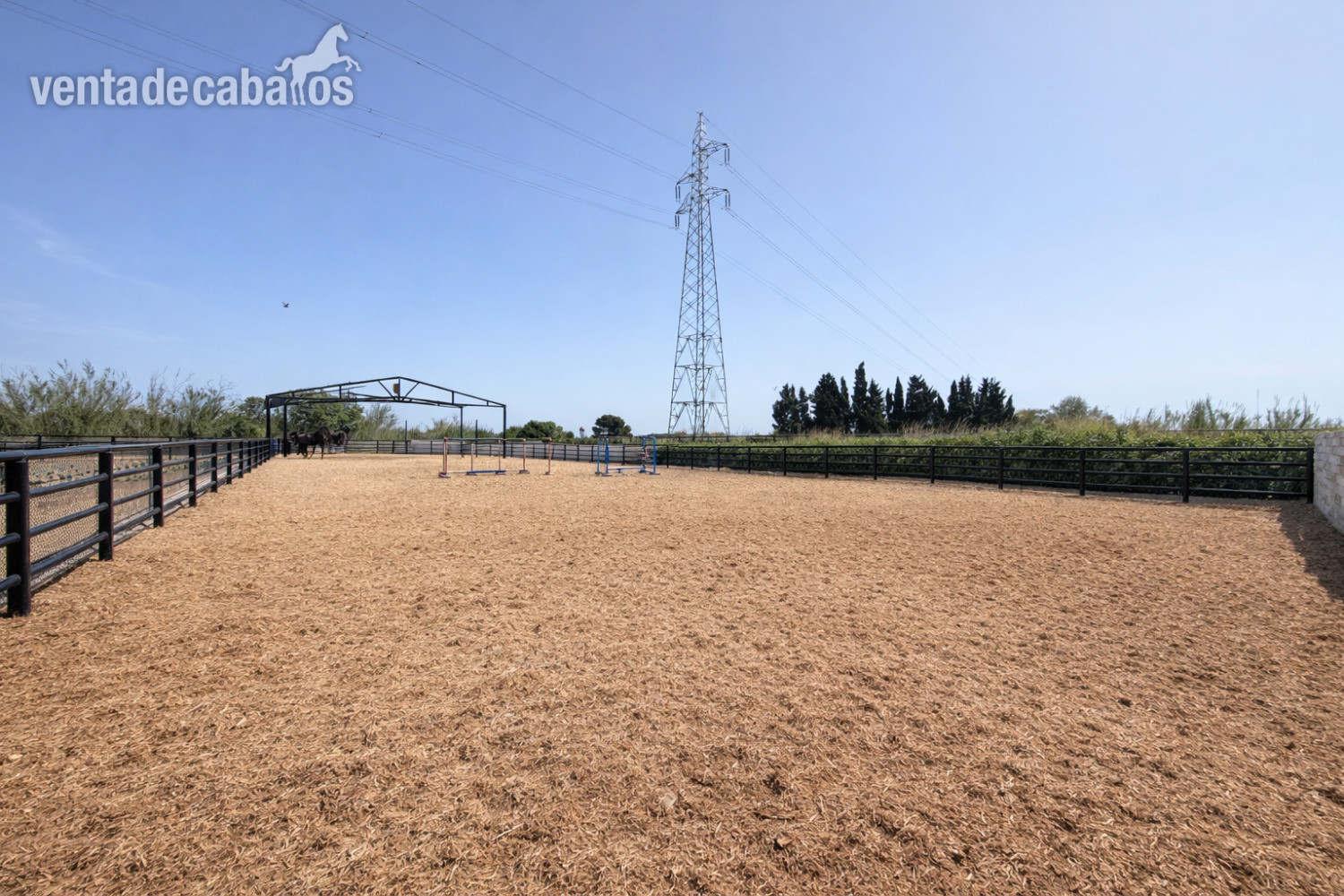 Hípicas y establos en venta - Finca ecuestre en LA MARINA ( Alicante) in ALICANTE