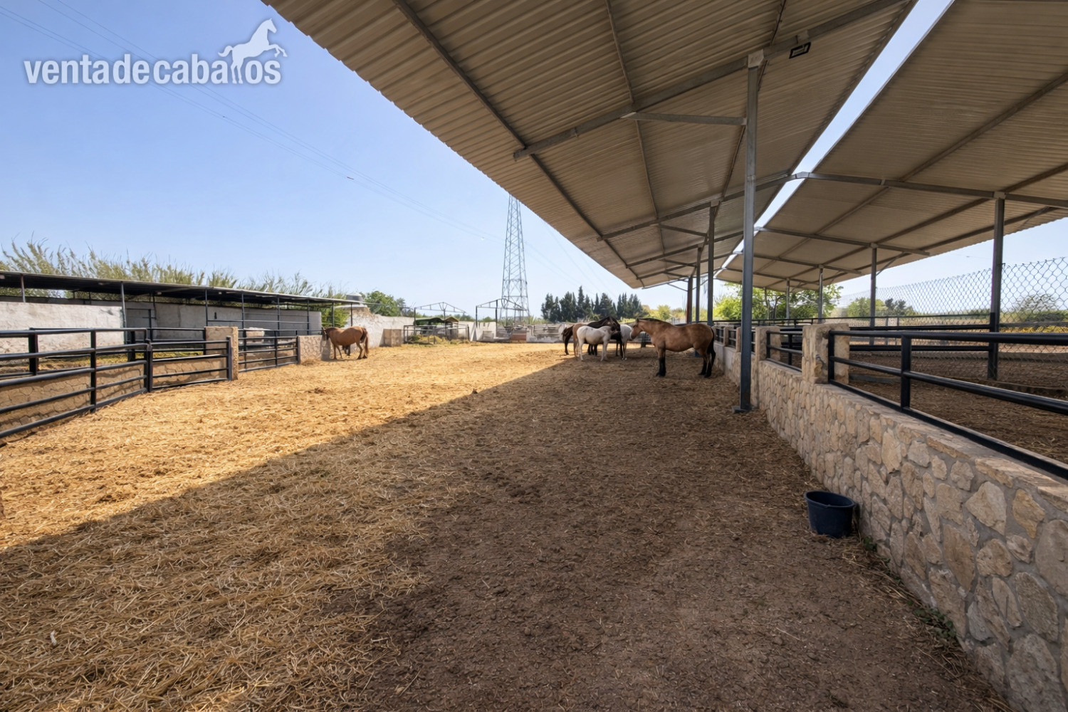 Hípicas y establos en venta - Finca ecuestre en LA MARINA ( Alicante)
