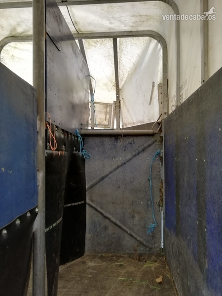 Se vende remolque para 2 caballos de matrícula roja 