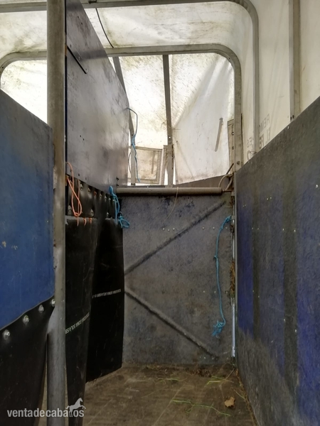 Se vende remolque para 2 caballos de matrícula roja 