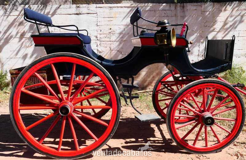 COCHE DE CABALLO TIPO FAETON in 