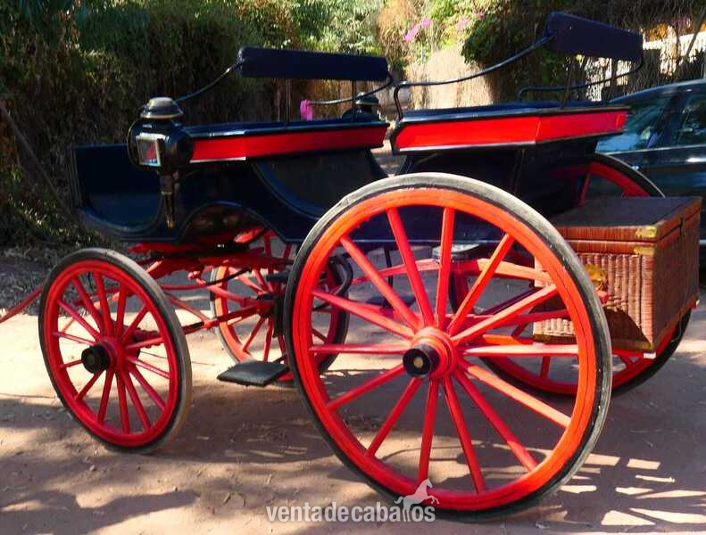 COCHE DE CABALLO TIPO FAETON