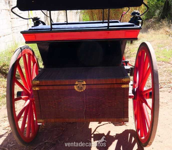  COCHE DE CABALLO TIPO FAETON