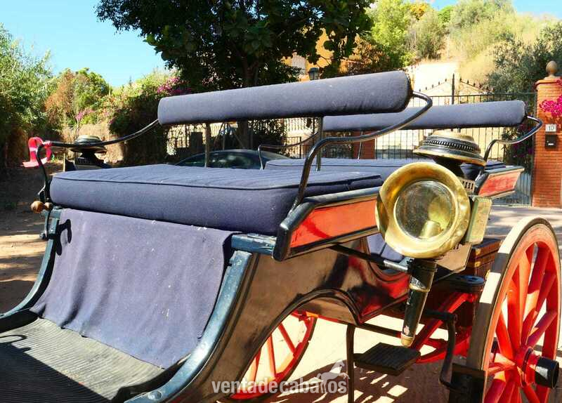 COCHE DE CABALLO TIPO FAETON - Carruajes y Enganches in 