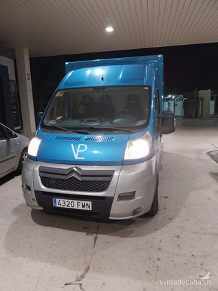SE HACEN TRANSPORTES DE CABALLOS 