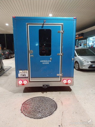  SE HACEN TRANSPORTES DE CABALLOS 