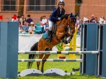 Poni B de Competición y C