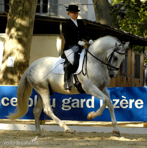 Jean Michel SCHWARTZ in 