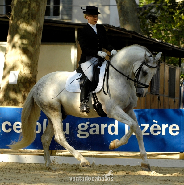 Jean Michel SCHWARTZ in 