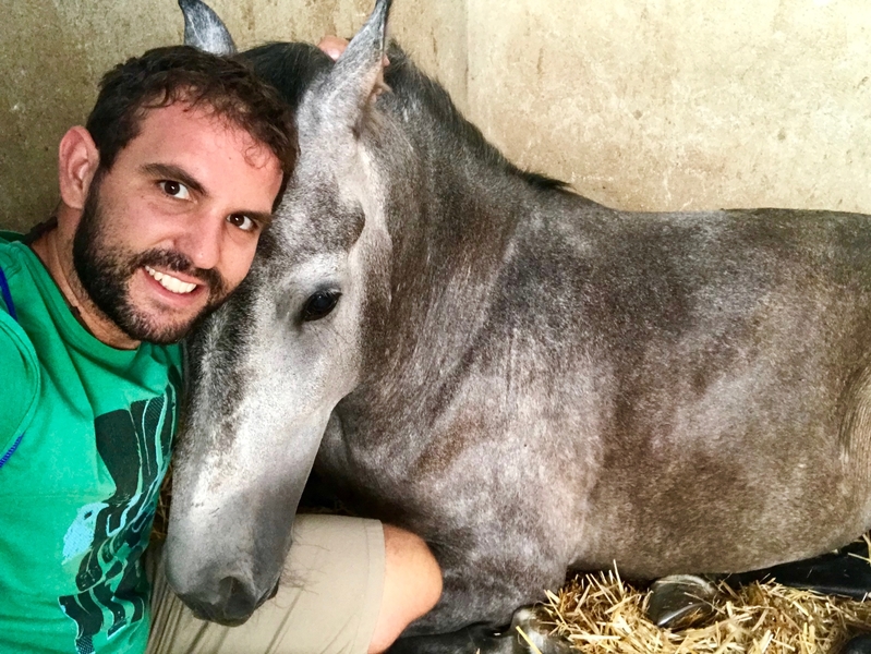 Hispano-Arabe