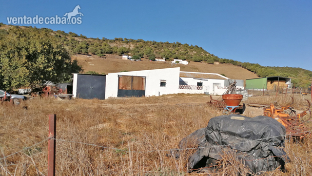 Vejer de la Frontera - Finca para renovar, ideal para caballos in Vejer de la Frontera