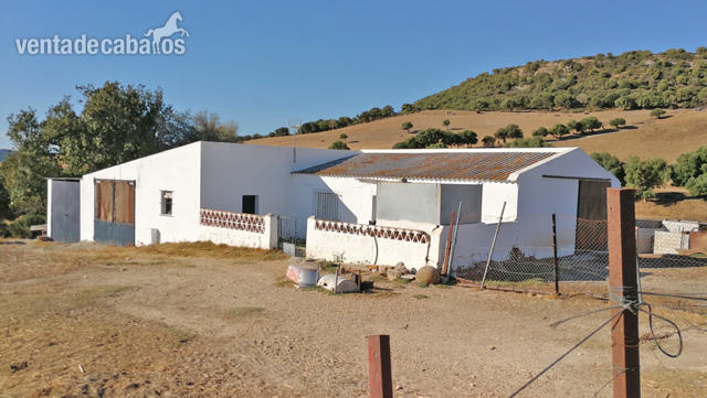 Vejer de la Frontera - Finca para renovar, ideal para caballos