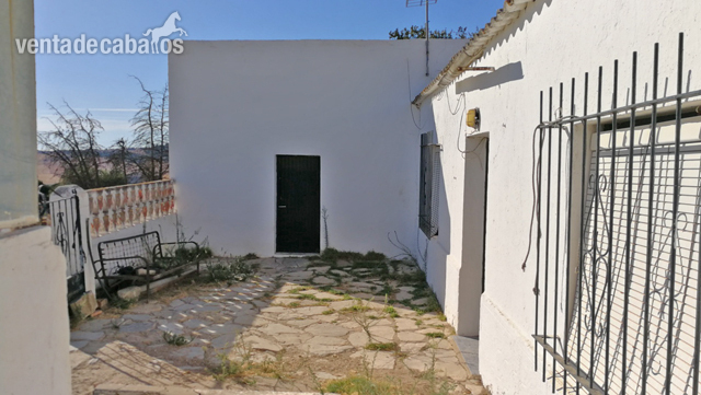Vejer de la Frontera - Finca para renovar, ideal para caballos - Finca ecuestre in Vejer de la Frontera