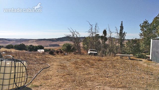 Vejer de la Frontera - Finca para renovar, ideal para caballos Vejer de la Frontera