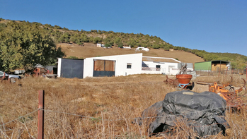 Vejer de la Frontera - Finca para renovar, ideal para caballos