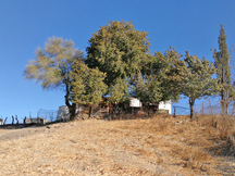 Vejer de la Frontera - Finca para renovar, ideal para caballos