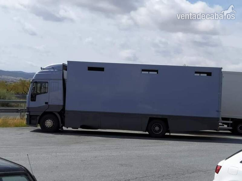 Camión - Transportes de caballos in 
