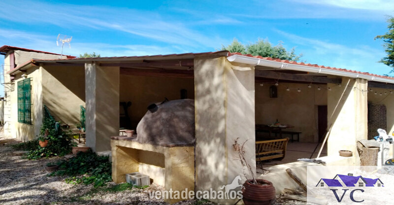 Finca en alquiler Fuente el Saz del Jarama  - Finca ecuestre in Fuente el Saz del Jarama