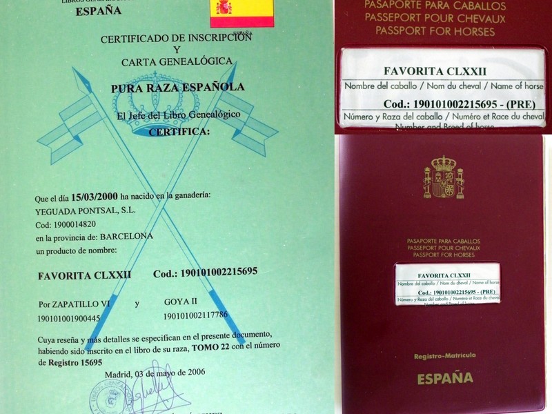 Pura Raza Española