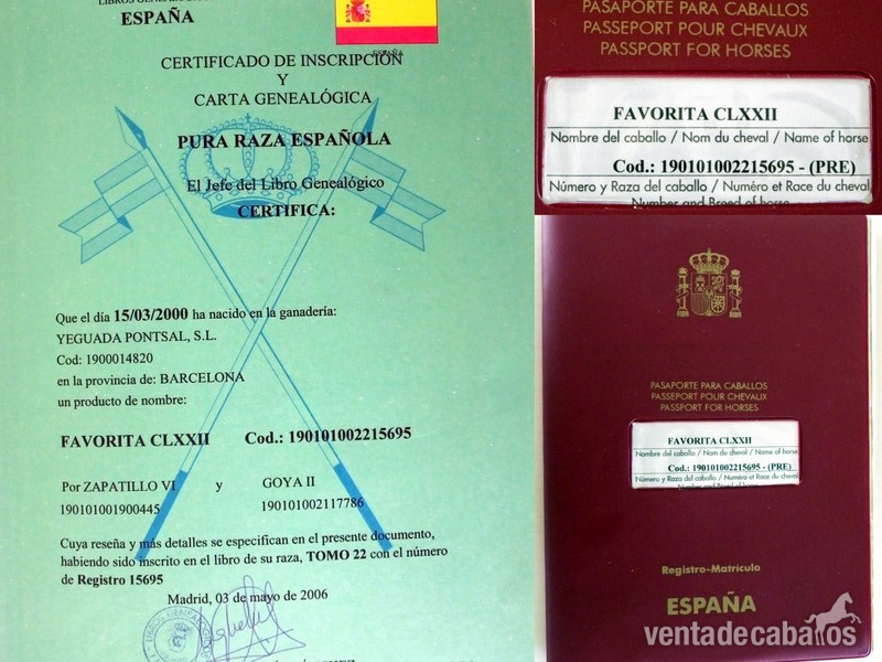 Pura Raza Española