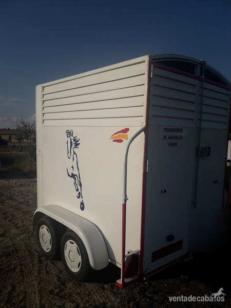 VAN DE 2 CABALLOS  in 