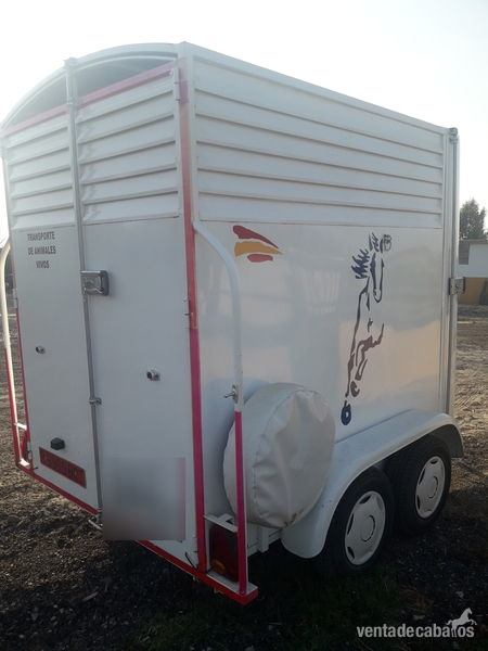 VAN DE 2 CABALLOS 