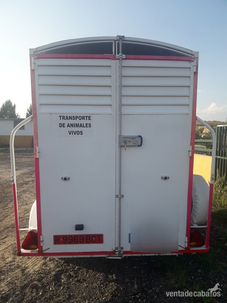  VAN DE 2 CABALLOS 