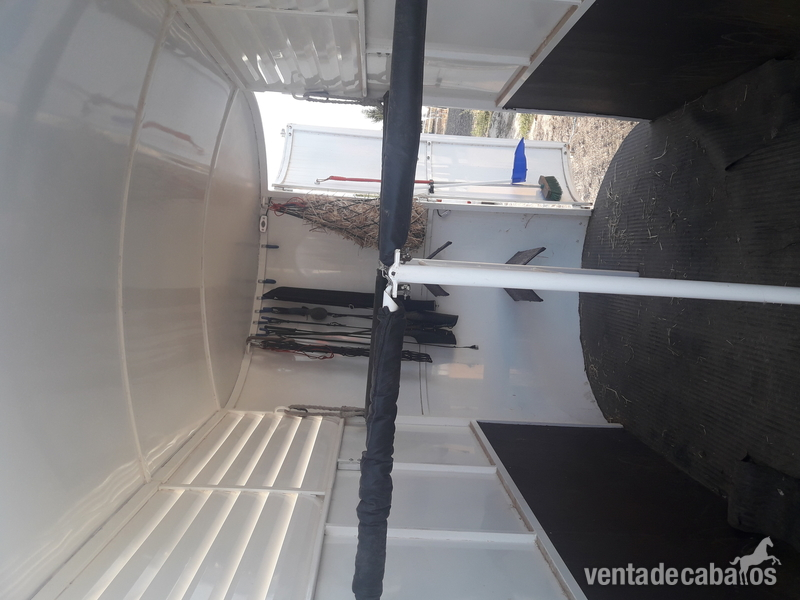 VAN DE 2 CABALLOS  - Transportes de caballos in 