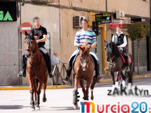 Caballo cruzado buen caracter